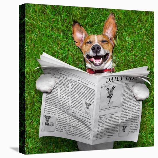 Dog Reading Newspaper-Javier Brosch-Stretched Canvas