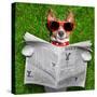 Dog Reading Newspaper-Javier Brosch-Stretched Canvas