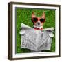 Dog Reading Newspaper-Javier Brosch-Framed Photographic Print