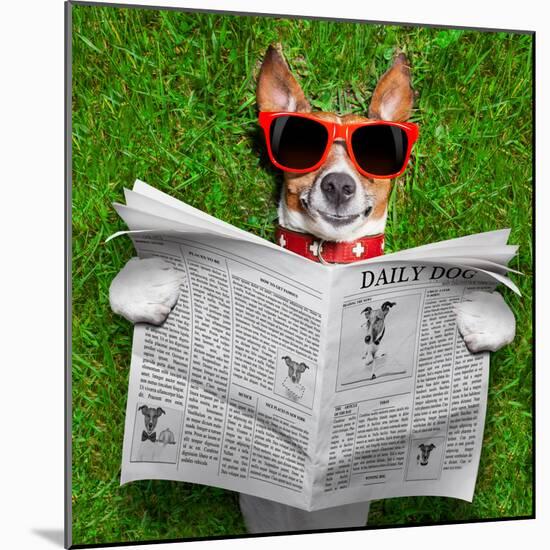 Dog Reading Newspaper-Javier Brosch-Mounted Photographic Print