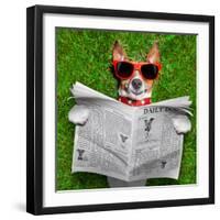 Dog Reading Newspaper-Javier Brosch-Framed Photographic Print