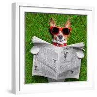 Dog Reading Newspaper-Javier Brosch-Framed Photographic Print