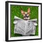 Dog Reading Newspaper-Javier Brosch-Framed Photographic Print