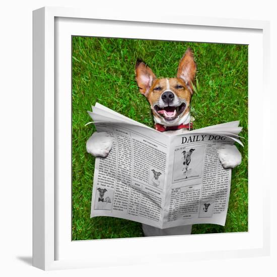 Dog Reading Newspaper-Javier Brosch-Framed Photographic Print