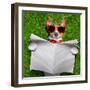 Dog Reading Newspaper-Javier Brosch-Framed Photographic Print