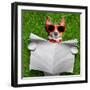 Dog Reading Newspaper-Javier Brosch-Framed Photographic Print