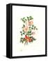 Dog Rose, 1980-Nell Hill-Framed Stretched Canvas