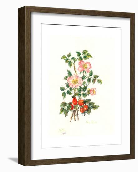 Dog Rose, 1980-Nell Hill-Framed Giclee Print