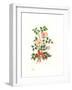 Dog Rose, 1980-Nell Hill-Framed Giclee Print