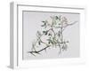 Dog Rose Tangling with Blackthorn, 1998-Rebecca John-Framed Giclee Print