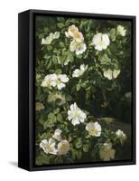 Dog Roses in Flower-Niels Rasmussen-Framed Stretched Canvas