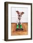 Dog Rubber Rain Boots-Javier Brosch-Framed Photographic Print