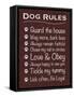 Dog Rules-Lauren Gibbons-Framed Stretched Canvas