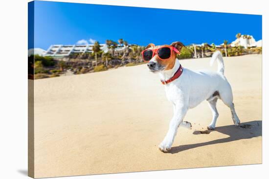 Dog Running at Beach-Javier Brosch-Stretched Canvas