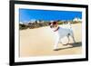 Dog Running at Beach-Javier Brosch-Framed Photographic Print