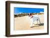 Dog Running at Beach-Javier Brosch-Framed Photographic Print