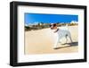 Dog Running at Beach-Javier Brosch-Framed Photographic Print