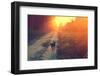Dog Running in the Countryside-vvvita-Framed Photographic Print
