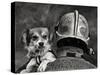 Dog's Best Friend.-Renato J.-Stretched Canvas