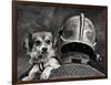 Dog's Best Friend.-Renato J.-Framed Photographic Print