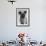 Dog's Mischievous Face-Thomas Fall-Framed Photographic Print displayed on a wall