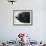 Dog's Nose-Henry Horenstein-Framed Photographic Print displayed on a wall