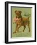 Dog Saves Doll from Sea-null-Framed Art Print