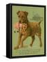 Dog Saves Doll from Sea-null-Framed Stretched Canvas