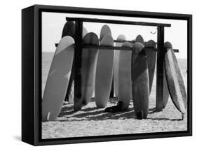 Dog Seeking Shade under Rack of Surfboards at San Onofre State Beach-Allan Grant-Framed Stretched Canvas