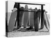 Dog Seeking Shade under Rack of Surfboards at San Onofre State Beach-Allan Grant-Stretched Canvas