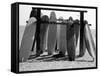 Dog Seeking Shade under Rack of Surfboards at San Onofre State Beach-Allan Grant-Framed Stretched Canvas