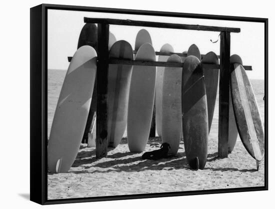 Dog Seeking Shade under Rack of Surfboards at San Onofre State Beach-Allan Grant-Framed Stretched Canvas