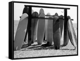 Dog Seeking Shade under Rack of Surfboards at San Onofre State Beach-Allan Grant-Framed Stretched Canvas