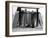 Dog Seeking Shade under Rack of Surfboards at San Onofre State Beach-Allan Grant-Framed Premium Photographic Print