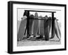 Dog Seeking Shade under Rack of Surfboards at San Onofre State Beach-Allan Grant-Framed Premium Photographic Print
