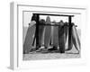 Dog Seeking Shade under Rack of Surfboards at San Onofre State Beach-Allan Grant-Framed Premium Photographic Print