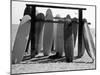 Dog Seeking Shade under Rack of Surfboards at San Onofre State Beach-Allan Grant-Mounted Premium Photographic Print