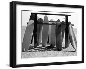 Dog Seeking Shade under Rack of Surfboards at San Onofre State Beach-Allan Grant-Framed Photographic Print