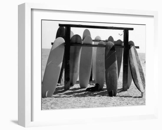 Dog Seeking Shade under Rack of Surfboards at San Onofre State Beach-Allan Grant-Framed Photographic Print