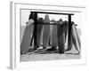 Dog Seeking Shade under Rack of Surfboards at San Onofre State Beach-Allan Grant-Framed Photographic Print