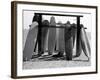 Dog Seeking Shade under Rack of Surfboards at San Onofre State Beach-Allan Grant-Framed Photographic Print