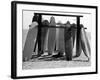 Dog Seeking Shade under Rack of Surfboards at San Onofre State Beach-Allan Grant-Framed Photographic Print