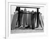 Dog Seeking Shade under Rack of Surfboards at San Onofre State Beach-Allan Grant-Framed Photographic Print