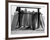 Dog Seeking Shade under Rack of Surfboards at San Onofre State Beach-Allan Grant-Framed Photographic Print