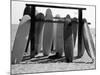 Dog Seeking Shade under Rack of Surfboards at San Onofre State Beach-Allan Grant-Mounted Photographic Print