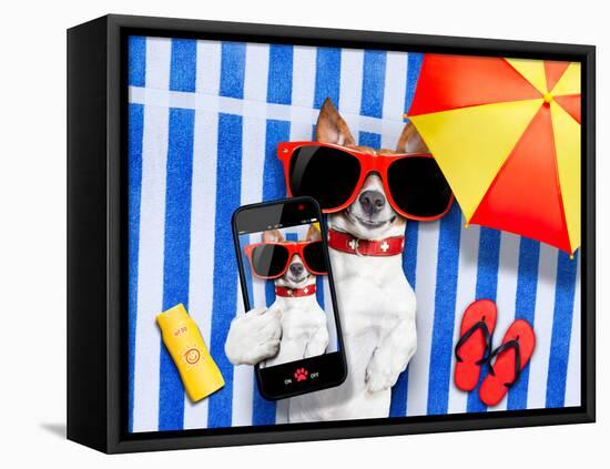 Dog Selfie from Vacation-Javier Brosch-Framed Stretched Canvas