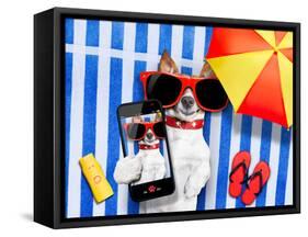 Dog Selfie from Vacation-Javier Brosch-Framed Stretched Canvas