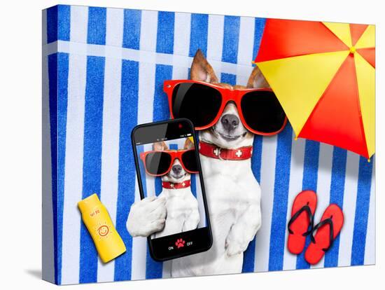 Dog Selfie from Vacation-Javier Brosch-Stretched Canvas