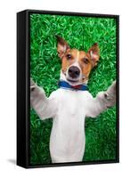 Dog Selfie-Javier Brosch-Framed Stretched Canvas