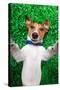 Dog Selfie-Javier Brosch-Stretched Canvas